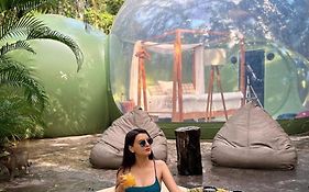 Oom Bubble Boutique Riviera Cancun - Adults Only